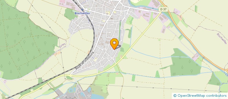 localisation de l'entreprise TEAM BIG FISH 67  BISCHWILLER