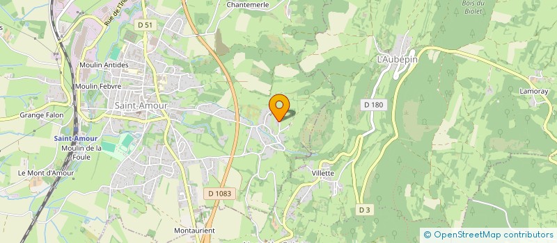 localisation de l'entreprise TEAM CLASSIC MOTORS  SAINT-AMOUR