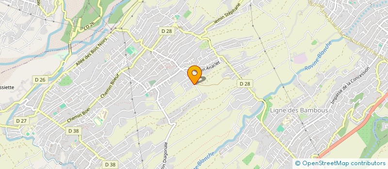 localisation de l'entreprise TEAM COBRA  SAINT-PIERRE