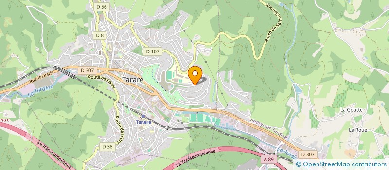 localisation de l'entreprise TEAM DAME TARARE TAEKWONDO ET DISCIPLINES ASSOCIEES à TARARE