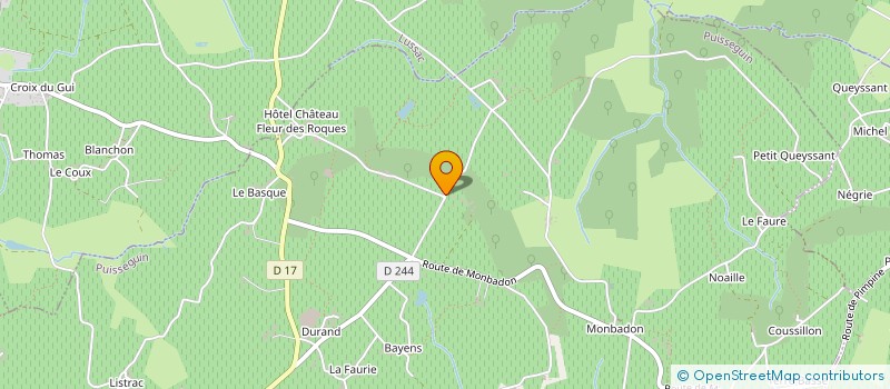 localisation de l'entreprise TEAM RALLYES REVE  PUISSEGUIN