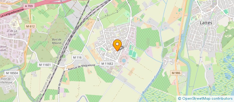 localisation de l'entreprise TEAM SUDISTE EN 4L à LATTES