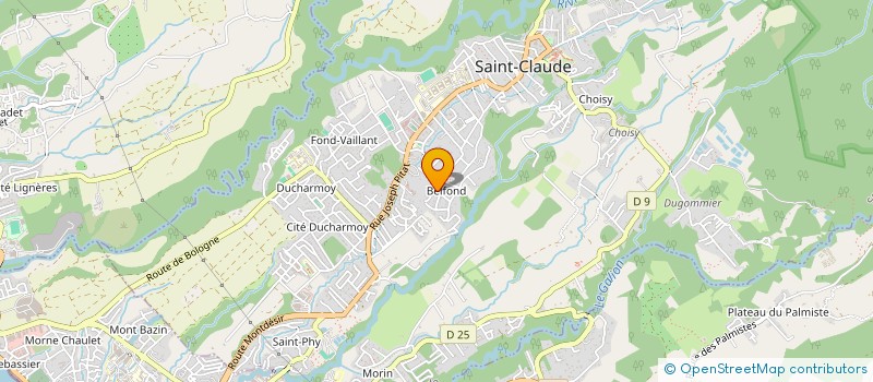 localisation de l'entreprise TEAM TRAIL CAFE à SAINT-CLAUDE
