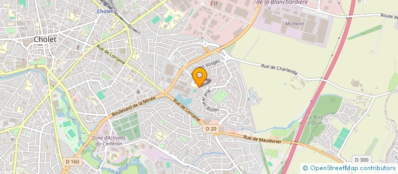 localisation de l'entreprise TEAM TRAIL CHOLET ET SPORTS NATURE à CHOLET