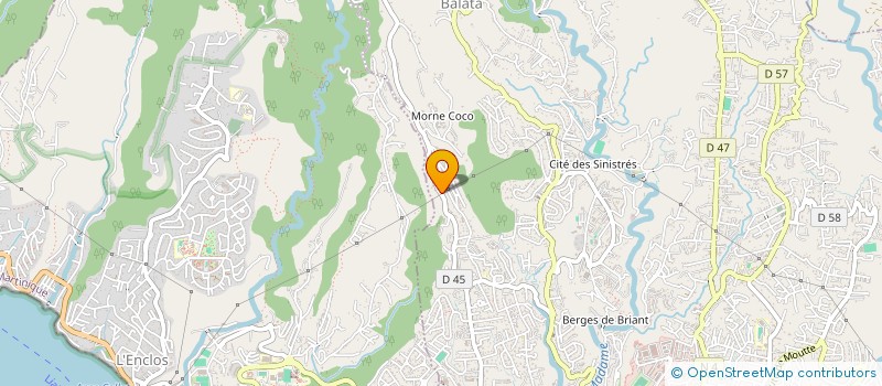 localisation de l'entreprise TEAM VIBES  FORT-DE-FRANCE