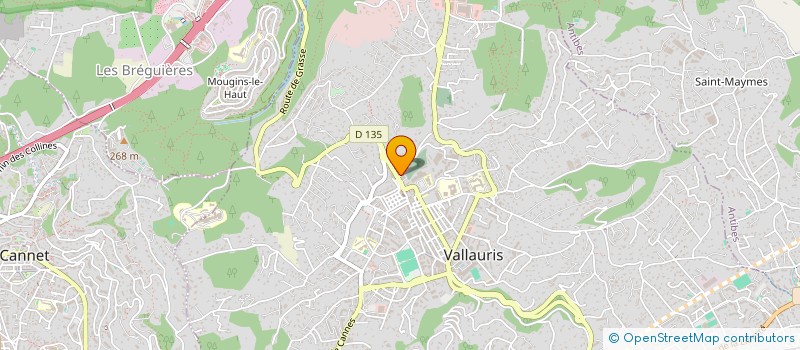 localisation de l'entreprise TEAM YLIES DJIROUN  VALLAURIS