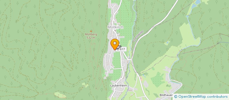 localisation de l'entreprise TECHNER  MOLLKIRCH