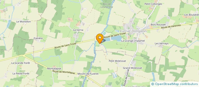 localisation de l'entreprise TECHNI DIFFUSION  SAINT-TRIVIER-DE-COURTES