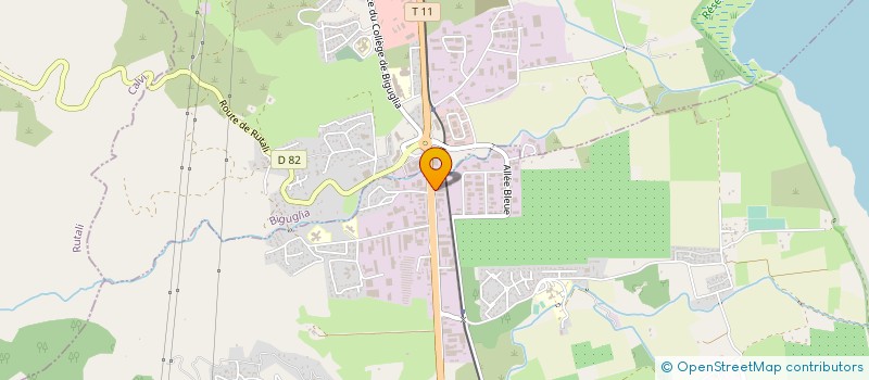 localisation de l'entreprise TECHNIC ALARM à BORGO