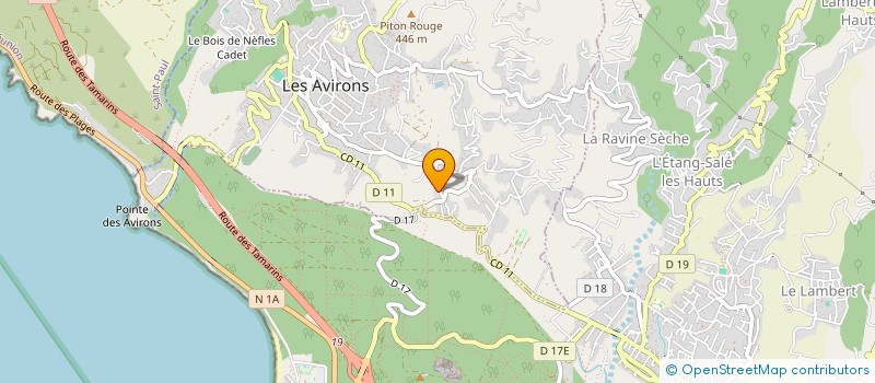 localisation de l'entreprise TECHNIC CLEAN à LES AVIRONS