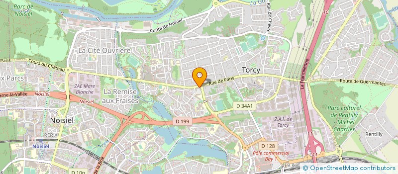 localisation de l'entreprise TECHNOLOG  TORCY