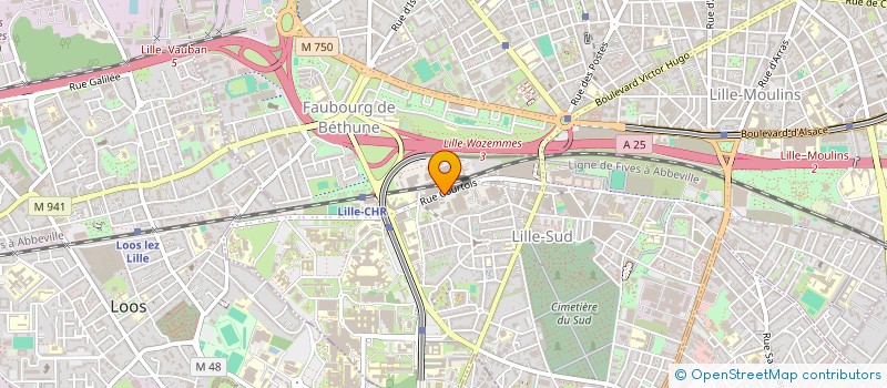 localisation de l'entreprise TECHNOPLATRE à LILLE