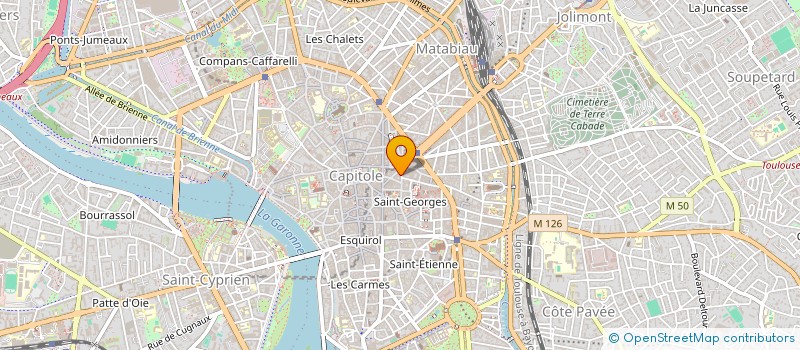 localisation de l'entreprise TECHNOSMILE à TOULOUSE