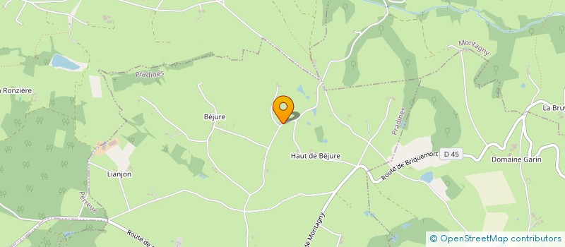 localisation de l'entreprise TECHPERF SERVICES  PRADINES