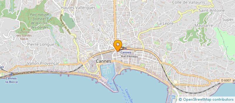 localisation de l'entreprise TECNO MOTION INTERNATIONAL à CANNES