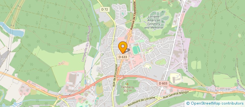 localisation de l'entreprise TED  SAINT-AVOLD