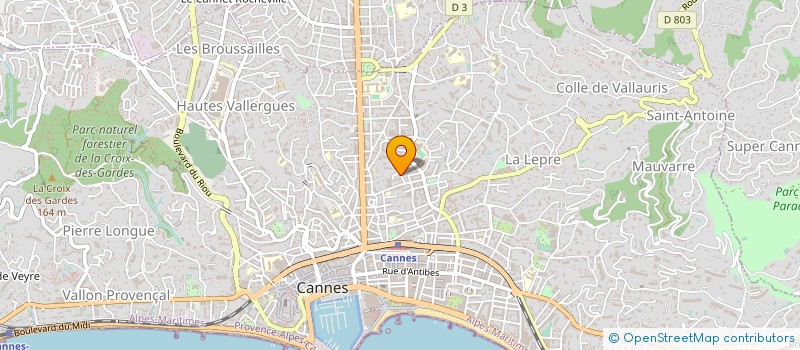 localisation de l'entreprise TEINTURERIE BLANCHISSERIE DU CYGNE à CANNES