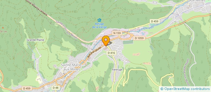 localisation de l'entreprise TEINTURERIES DE L EST à SAINTE-MARIE-AUX-MINES