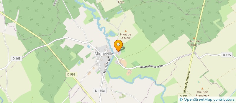 localisation de l'entreprise TEIRLIJNCK IMMO  MIGNEVILLE