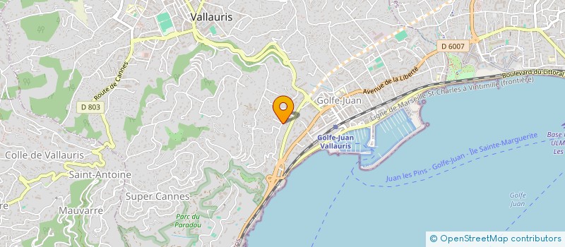 localisation de l'entreprise TEKOA  VALLAURIS