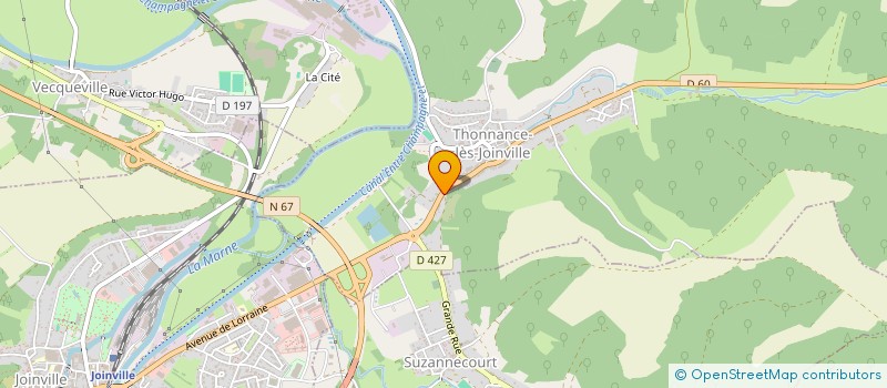 localisation de l'entreprise TELEVISION MENAGER SERVICE à THONNANCE-LES-JOINVILLE