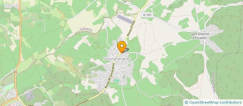 localisation de l'entreprise TELL  SOUVIGNARGUES