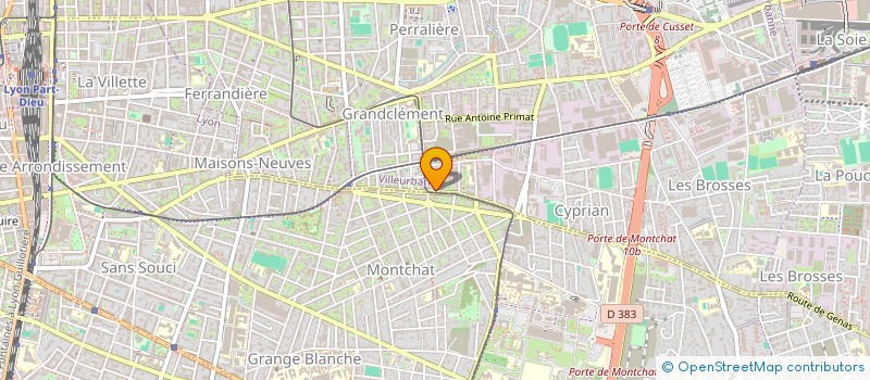 localisation de l'entreprise TELLI FLEURY  VILLEURBANNE