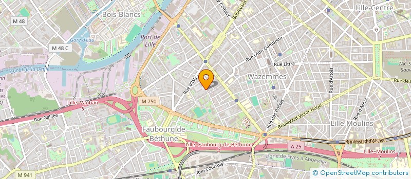 localisation de l'entreprise TEM IMMO à LILLE