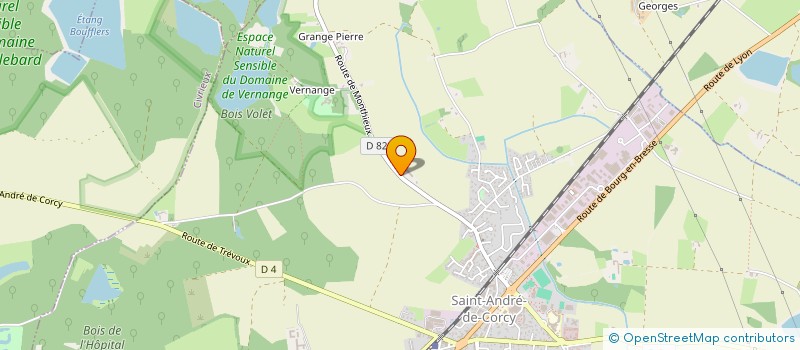 localisation de l'entreprise TEMA  SAINT-ANDRE-DE-CORCY