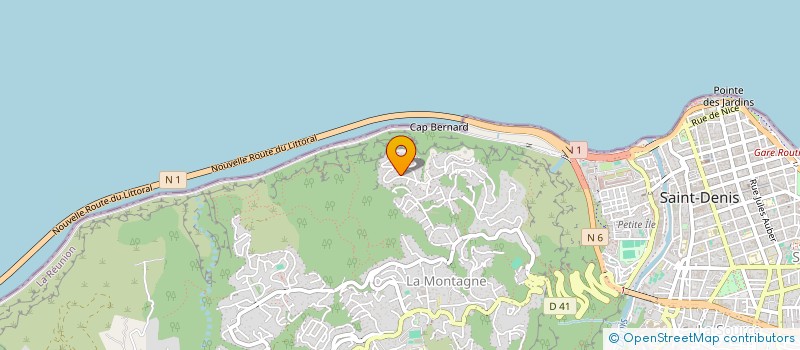 localisation de l'entreprise TEMPO21  SAINT-DENIS