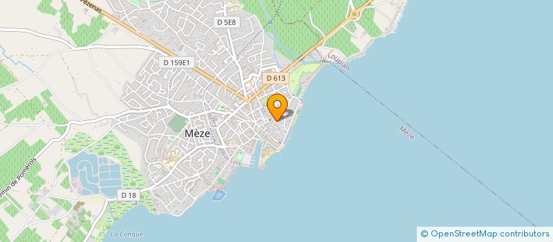 localisation de l'entreprise TEMPS D'ANIMATION INTERACTIFS ET MOBILISANTS à MEZE