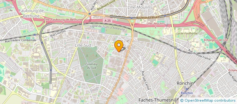 localisation de l'entreprise TEMPS DE JEUX à LILLE