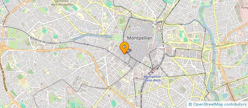 localisation de l'entreprise TEMPUS FUGIT à MONTPELLIER