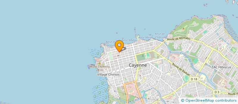 localisation de l'entreprise TENDANCE CHRISTAL'IN  CAYENNE