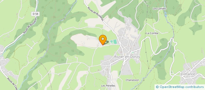 localisation de l'entreprise TENDANCE NATION UNION ISLAMIQUE FRANCE  ROZIER-EN-DONZY