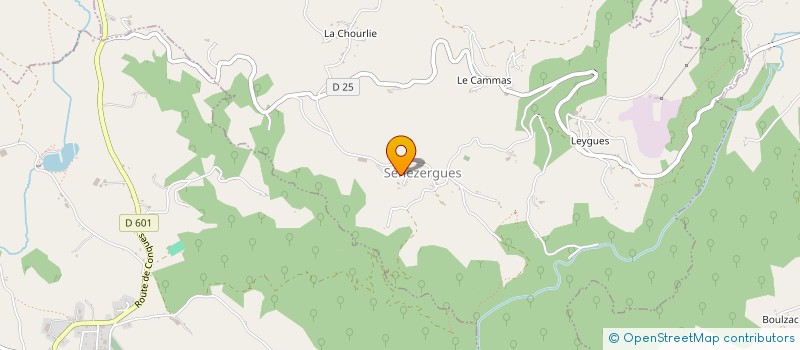 localisation de l'entreprise TENNIS CLUB DE LA CHATAIGNERAIE à PUYCAPEL