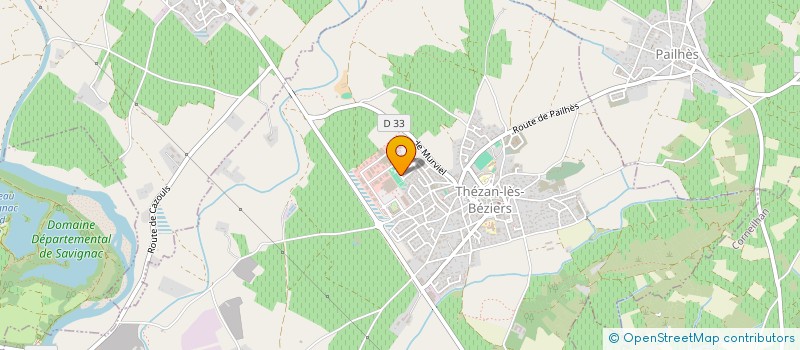 localisation de l'entreprise TENNIS CLUB MONPLAISIR  THEZAN-LES-BEZIERS