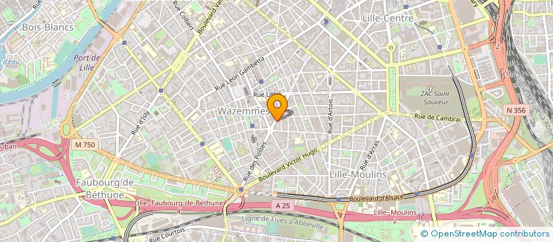 localisation de l'entreprise TEO'PAL à LILLE