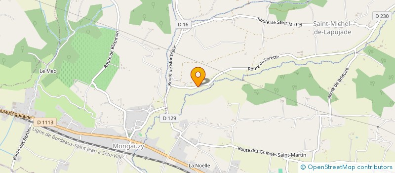 localisation de l'entreprise TEONA  SAINT-MICHEL-DE-LAPUJADE