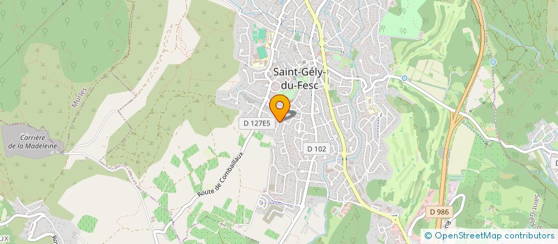 localisation de l'entreprise TERMETIS à SAINT-GELY-DU-FESC