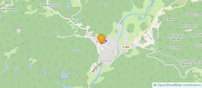 localisation de l'entreprise TERRASSEMENT HENRY  TERNUAY-MELAY-ET-SAINT-HILAIRE
