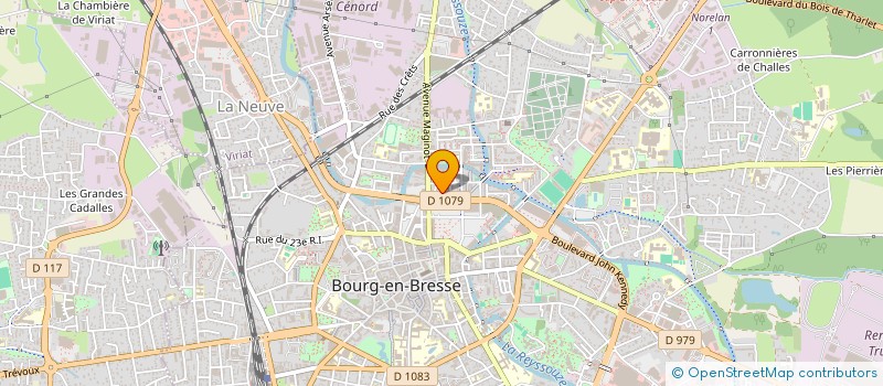localisation de l'entreprise TERRE D'ENVIES NOS TERRES POUR VOS SAVEURS AGRICULTEURS EN VENTE COLLECTIVE DIRECTE (AVEC) à BOURG-EN-BRESSE