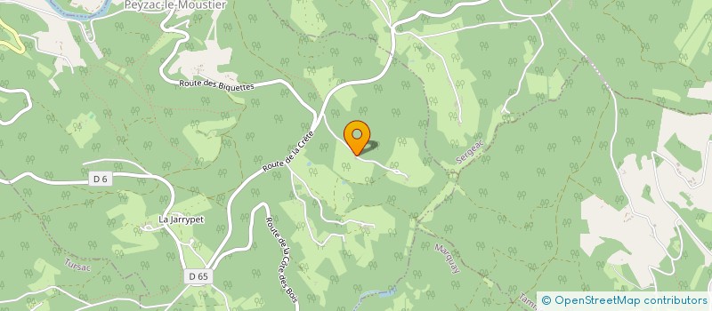 localisation de l'entreprise TERRE ETOILE NOMADE  PEYZAC-LE-MOUSTIER