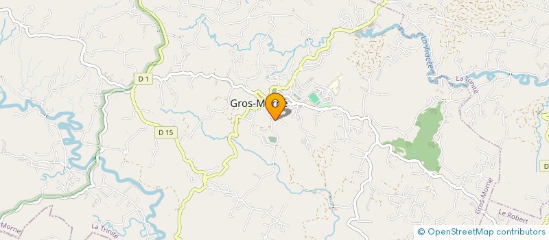 localisation de l'entreprise TERRE FRUIT ET VIE  GROS-MORNE