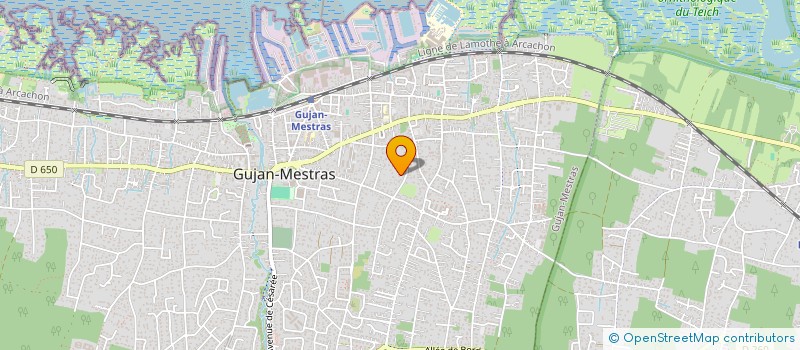 localisation de l'entreprise TERRE & MER  GUJAN-MESTRAS