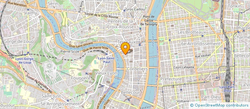 localisation de l'entreprise TERREAUX BRICOLAGE à LYON