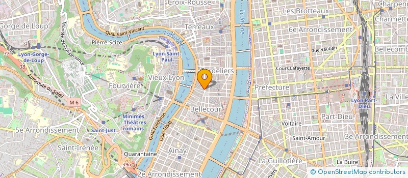 localisation de l'entreprise TERTRAIS NICOLAS ET ODILE  LYON