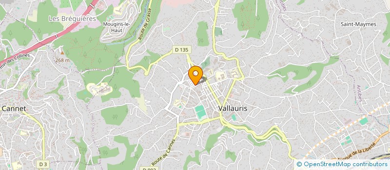 localisation de l'entreprise TERTRUM CONSULTING  VALLAURIS