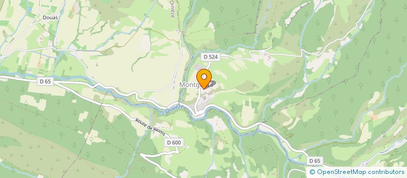 localisation de l'entreprise TETRA  MONTGUERS