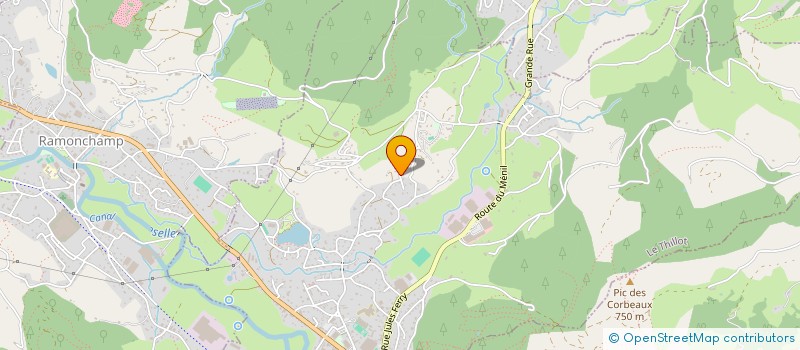 localisation de l'entreprise TETRONIK SCI  LE THILLOT